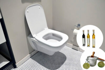 Comment Nettoyer Ses Toilettes Avec Des Produits Naturels