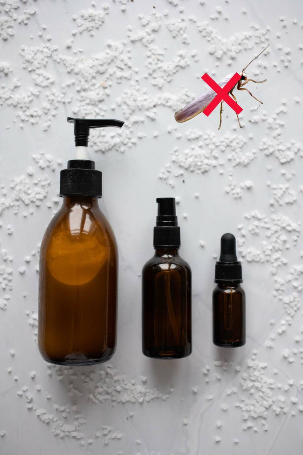 Antimite : 13 solutions naturelles pour se débarrasser des mites